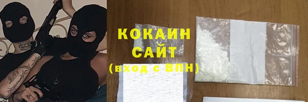 МДПВ Инта