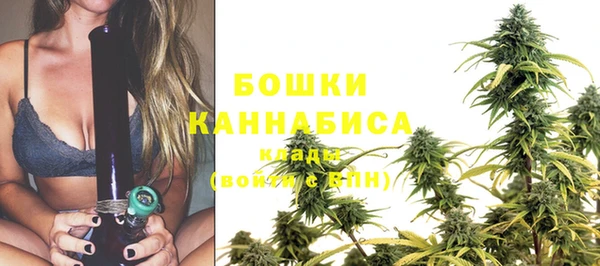 МДПВ Инта