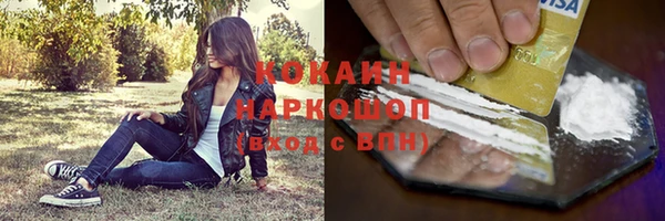 МДПВ Инта