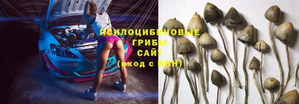 MESCALINE Каменка