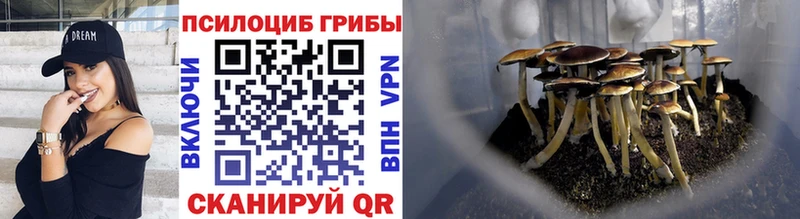 Псилоцибиновые грибы MAGIC MUSHROOMS  Орск 